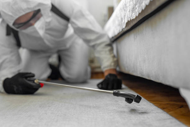 Professional Cockroach Control technician working in Pinehurst, MA